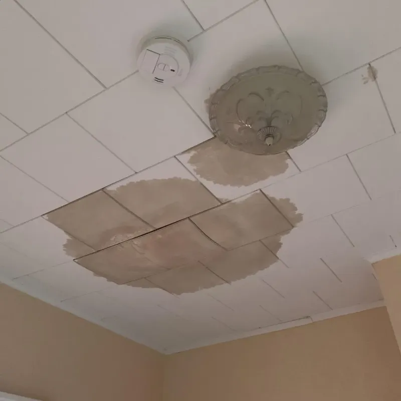 Ceiling Water Damage Repair in Shanor-Northvue, PA