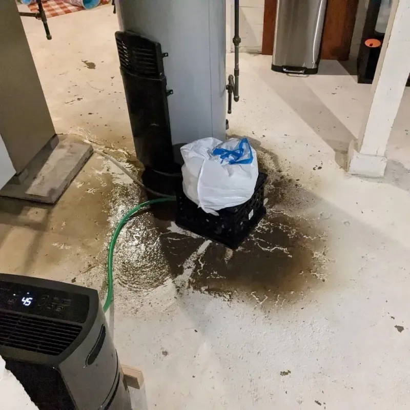 Sewage Backup Cleanup Service in Shanor-Northvue, PA